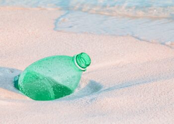 Unveiling the Environmental Impact of Plastic: What You Need to Know
