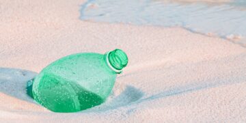 Unveiling the Environmental Impact of Plastic: What You Need to Know