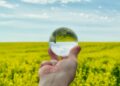 Discover the Top Eco-Friendly Innovations of 2025: Sustainable Solutions for the Future