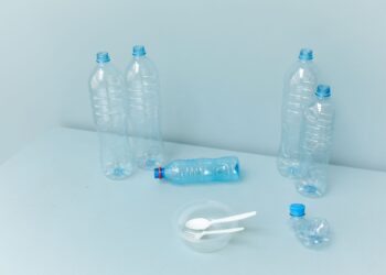 Unlock a Greener Lifestyle with These Top Plastic-Free Alternatives for Everyday Use