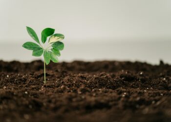 Pioneering the Future: The Green Tech Startups to Watch in Renewable Energy