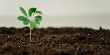 Pioneering the Future: The Green Tech Startups to Watch in Renewable Energy