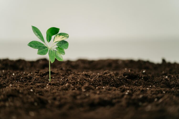 Pioneering the Future: The Green Tech Startups to Watch in Renewable Energy