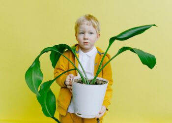 How Switching to Plastic-Free Alternatives Can Drastically Reduce Your Carbon Footprint