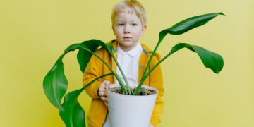 How Switching to Plastic-Free Alternatives Can Drastically Reduce Your Carbon Footprint
