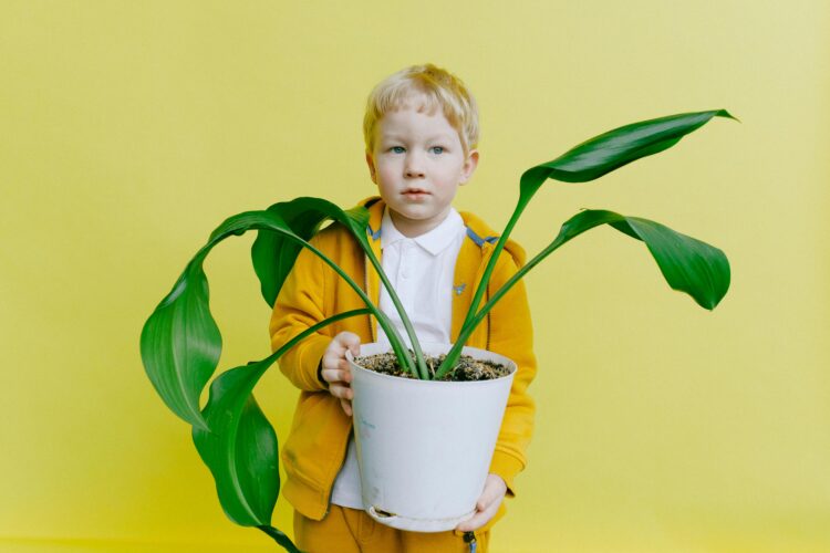 How Switching to Plastic-Free Alternatives Can Drastically Reduce Your Carbon Footprint