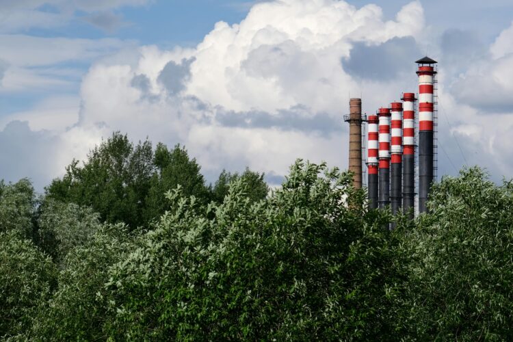 Fighting Back: Innovative Solutions to Combat Deforestation and Climate Change
