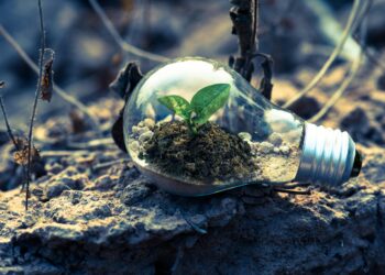 Sustainable Success: Navigating the Future of Green Buildings in Modern Architecture