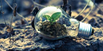 Sustainable Success: Navigating the Future of Green Buildings in Modern Architecture