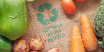Transform Your Diet with Eco-Friendly Sustainable Food Choices